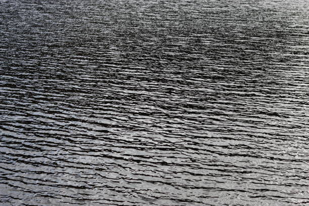 A macro close-up of a glossy liquid mercury surface capturing gentle ripples that create a shimmering, silver effect, indistinguishable from a tranquil lake. Differential focus emphasises the realistic water-like texture, with ample copy space on the right. Ideal for themes of nature, serenity, abstract design, and reflective surfaces.