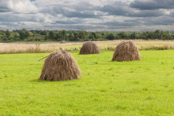 Rural view with three bales of hay
