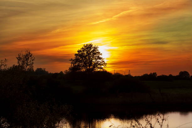 Sunset in the countryside in yellow