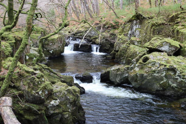 istock Waterfalls along a rocky woodland river 2203447451