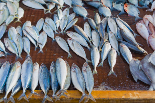 istock Fresh fish in traditional markets 2203448555