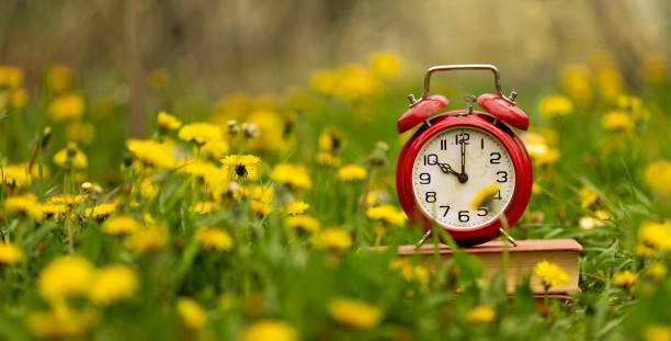 istock Alarm clock with spring flowers, daylight savings time banner 2203452465