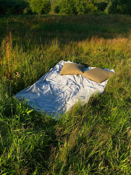 istock Bed with pillows stands on grass in forest with trees in background. Outdoor sleeping place surrounded by landscape. Creative conceptual photography 2203460584