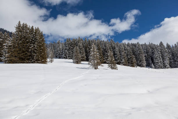Ski slope and snowcapped mountains,Semnoz