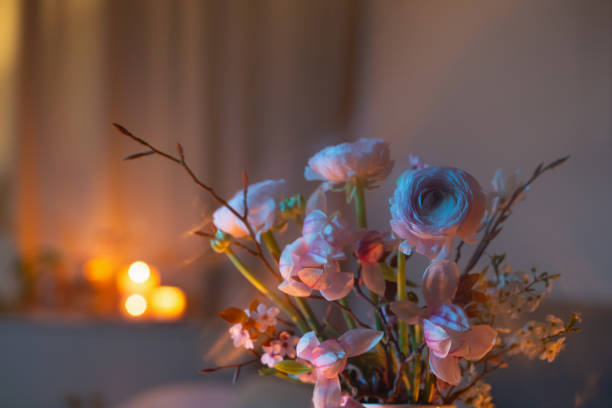 istock spring flowers close up  in color light 2203461403