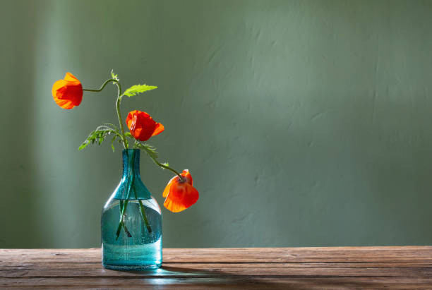 red poppy in glass bottle on green background