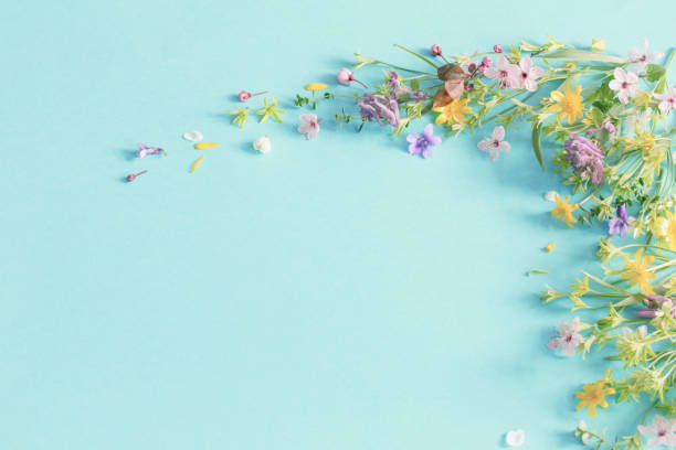istock wild spring flowers on paper background 2203461468