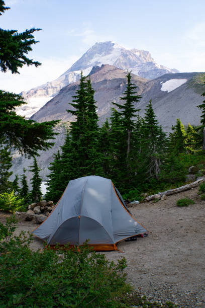 istock Camping in Mt Hood 2203465488