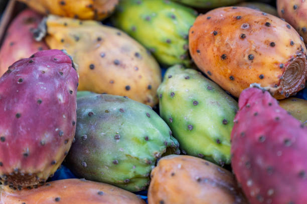 istock Colorful prickly pears, also known as cactus fruit, are displayed in a blue crate at a farmers market, showcasing their vibrant hues and textures 2203468882