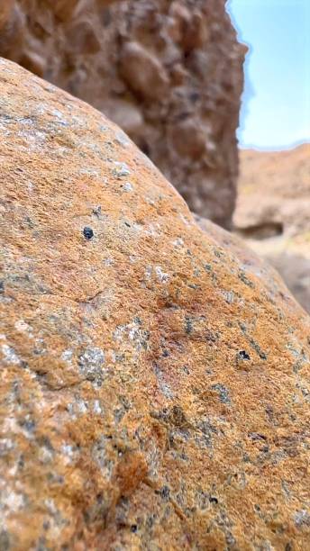 istock Rugged canyon rock surface displaying textured mineral deposits, highlighting intricate geological formations through detailed geological layering 2203469138