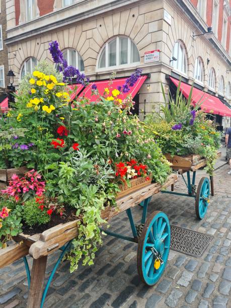 istock Flowers in Covent Garden 2203470083