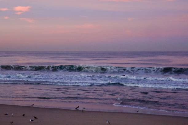 Seal Beach