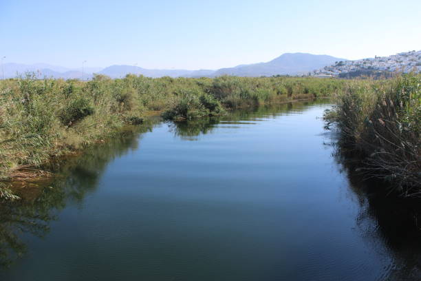 istock Blue Smooth River Running Slowly To Sea 2203470857
