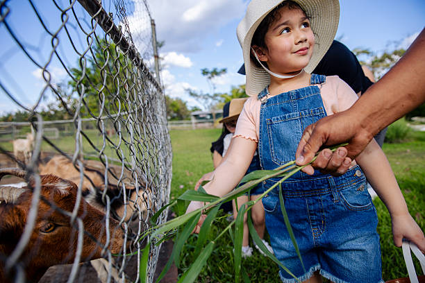 A Latina girl feeding animals in a farm in El Salvador. You can see the excitement and happiness on her face.
