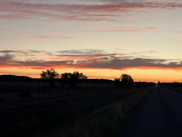 istock Golden Sunset over Karoo With silhouettes 2203475824