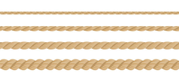 ilustrações de stock, clip art, desenhos animados e ícones de seamless ropes of different thickness. set of hemp or cotton cords isolated on white background. vector cartoon flat illustration. - corda