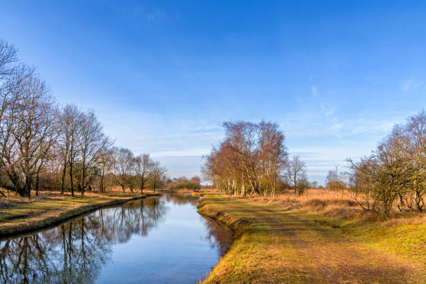 istock River Landscape with Blue Sky and Trees 2203478942