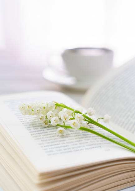 Open book and fresh lilies of the valley. Spring mood. Morning. Selective focus.