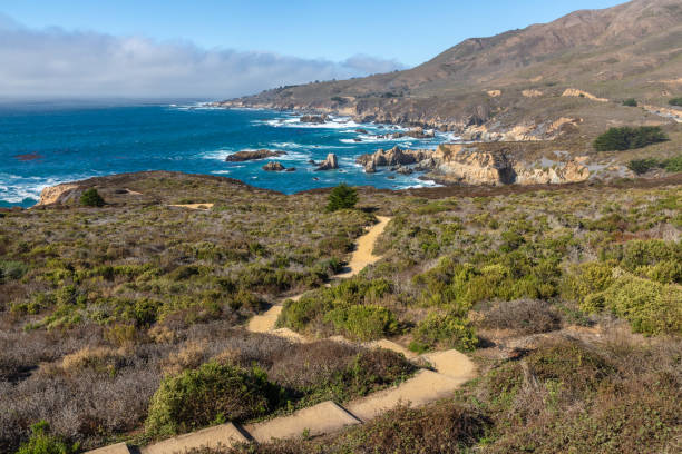 istock Coast trail with vegetation and mountains 2203480328