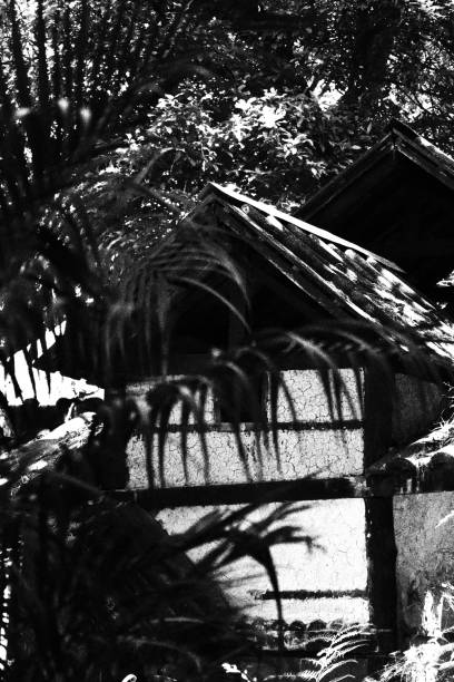 House Among the Trees. Monochromatic Black and White Tones