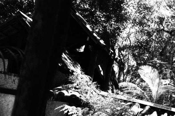 istock House Among the Trees. Monochromatic Black and White Tones 2203480496