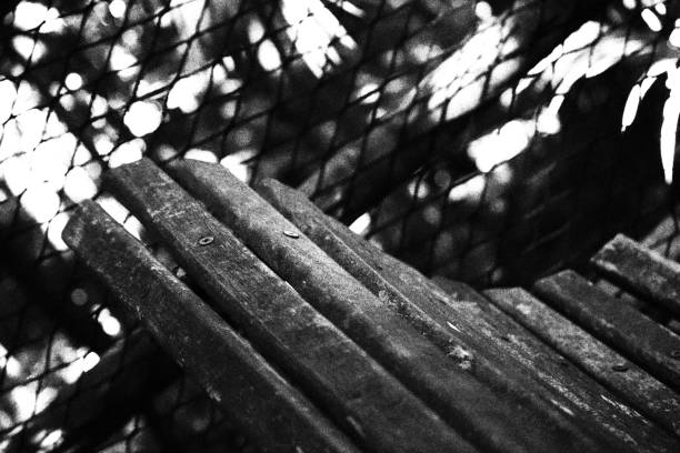 Wooden Bench.  Monochromatic Black and White Tones