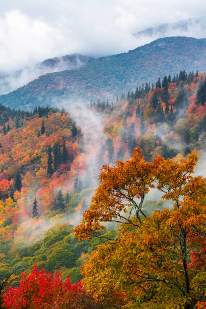 istock lifting fog, autumn foliage, blue ridge mountains 2203480692