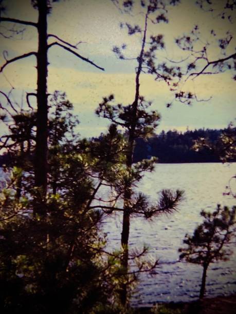 istock Ontario Wilderness With Camp Ahmek 2203484135