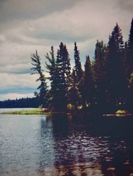 istock Ontario Wilderness With Camp Ahmek 2203484139