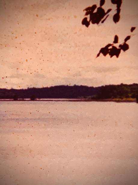 istock Ontario Wilderness With Camp Ahmek 2203484143