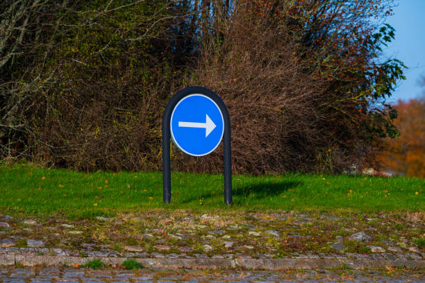 Blank directional sign in front of a blue sky