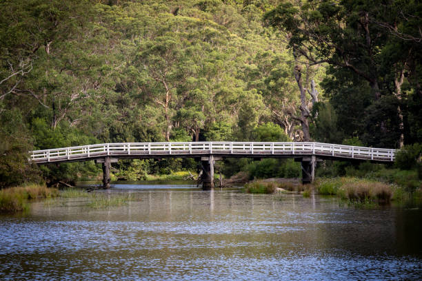 Varney's Bridge crossing the Hacking River in the Royal National Park, Sydney Australia
