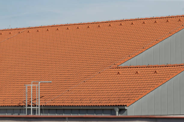 istock A tall building with a red tiled roof and a side ladder 2203504683