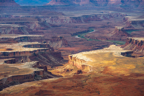 istock Colorado River at Canyonlands National Park Utah 2203508366
