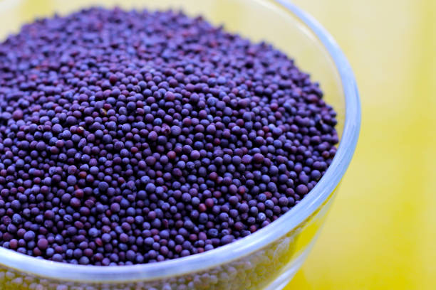istock Raw organic black mustards seeds 2203514267