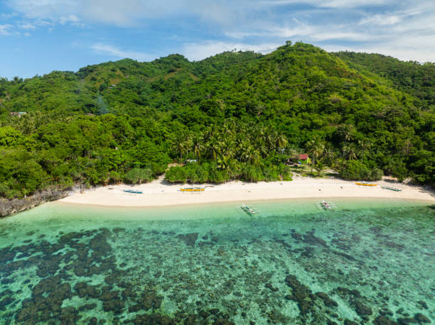 istock Sandy Beach in Cobrador Island. Romblon, Philippines. 2203519780