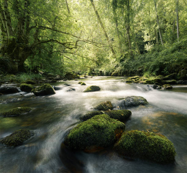 istock Bright riverside landscape in Spring in Ancares 2203522628