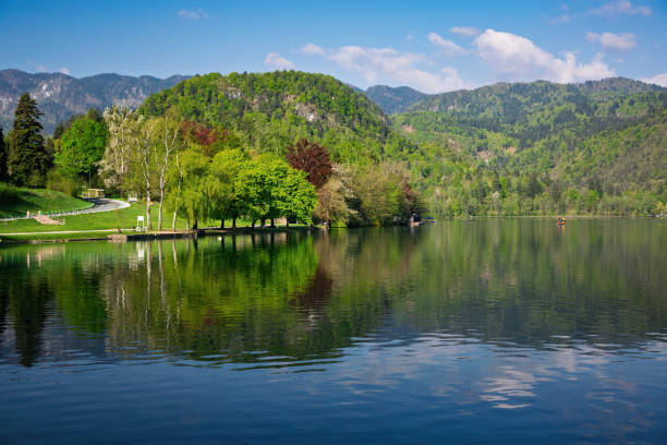 istock Lake Bled reflecting surrounding trees and mountains in spring 2203522635