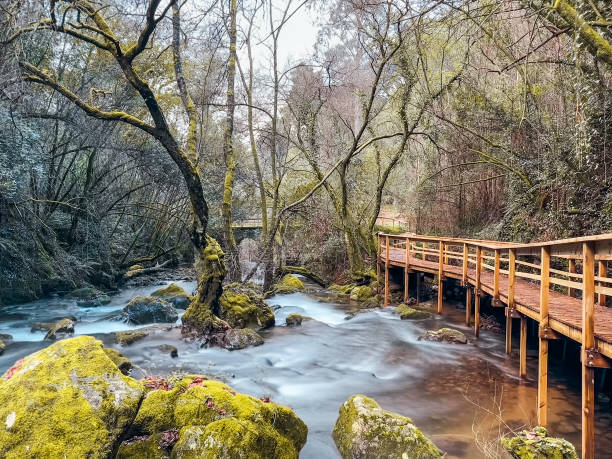 istock Serene forest scene with a wooden walkway beside a flowing stream, surrounded by moss-covered rocks and trees, creating a tranquil and picturesque atmosphere, located in Pindelo, Outeiro, Oliveira de Azemeis, Portugal 2203525390