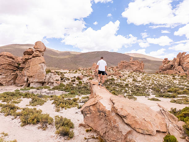 istock Man Standing on Rock in Stunning Desert Landscape 2203527355