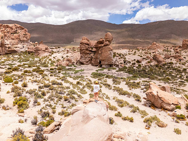 istock Woman Exploring Breathtaking Desert Landscape 2203527531