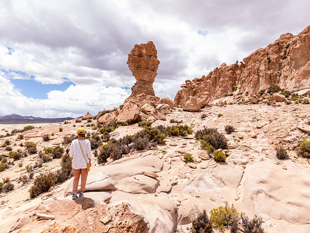 istock Traveler Exploring Rugged Desert Landscape with Rock Formations 2203530215