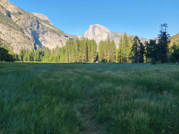 istock Cook's Meadow in Yosemite Valley on a summer afternoon 2203531517