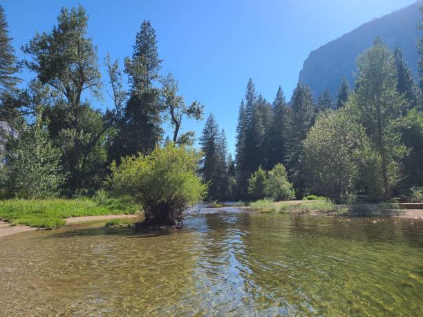 istock The Merced River flows through Yosemite Valley, California 2203531519