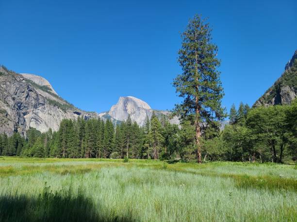 istock Cook's Meadow in Yosemite Valley on a summer afternoon 2203531658