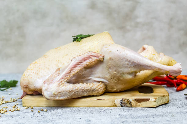 istock whole raw duck meat with spices 2203532757