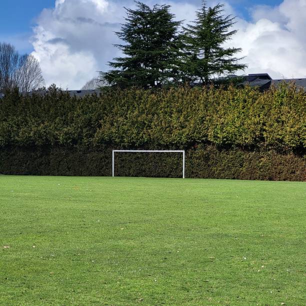 istock Beautiful expansive green grass playing field with goalpost and trees 2203533174