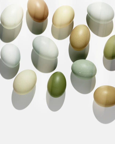 istock Top view natural easter Eggs with shadows on light background, minimal trend food pattern from assorted organic Chicken egg with neutral earth color eggshells, Easter food celebration 2203534185