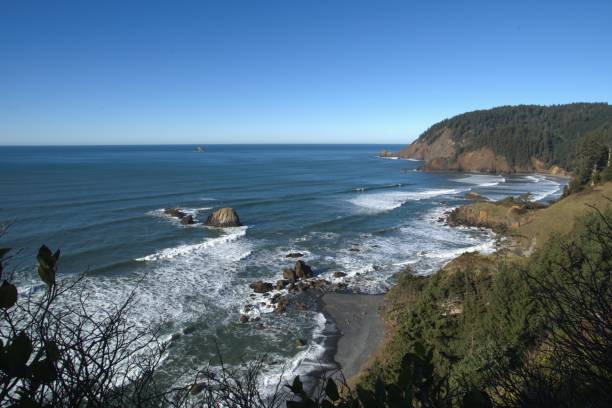 istock View of Oregon pacific ocean coastline on a clear sunny day 2203534310