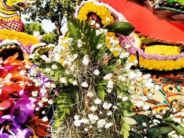 istock White dried flower decoration 2203536044